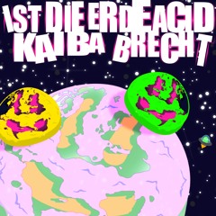 Brecht308 & Kaiba308 - Ist Die Erde Acid