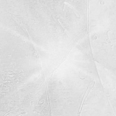 features, collabs & appearances