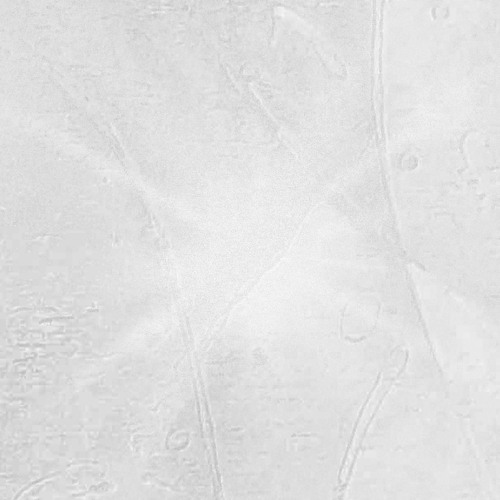 features, collabs & appearances