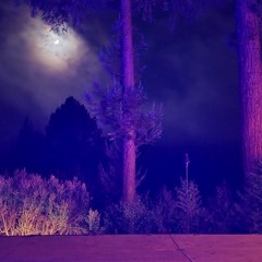 memories of melodies