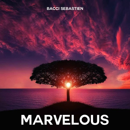 BACCI Sébastien