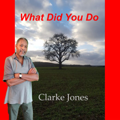 What Did You Do