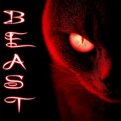 BEAST BEAT