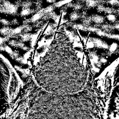 Anhedonia
