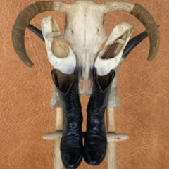 [Download] EPUB 💙 Dancin' Boots by  William A Thompson Jr PDF EBOOK EPUB KINDLE