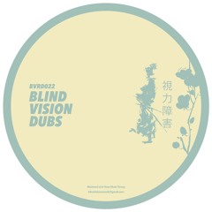 BVD022 Miguel Seabra - Dubs Vol XXll .... OUT NOW ON VINYL!