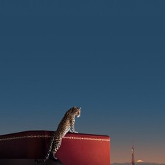 RAP (PERSONALITY HrDBounce/HardTechno remix) (Lacazette Rave Mashup)