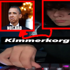 KIMMERKORG VERSUCH EINS (1 PATTERN)