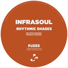 Infrasoul - The Disco Sounds