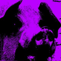 Bruised Ego feat. Stolen Adele Lyrics