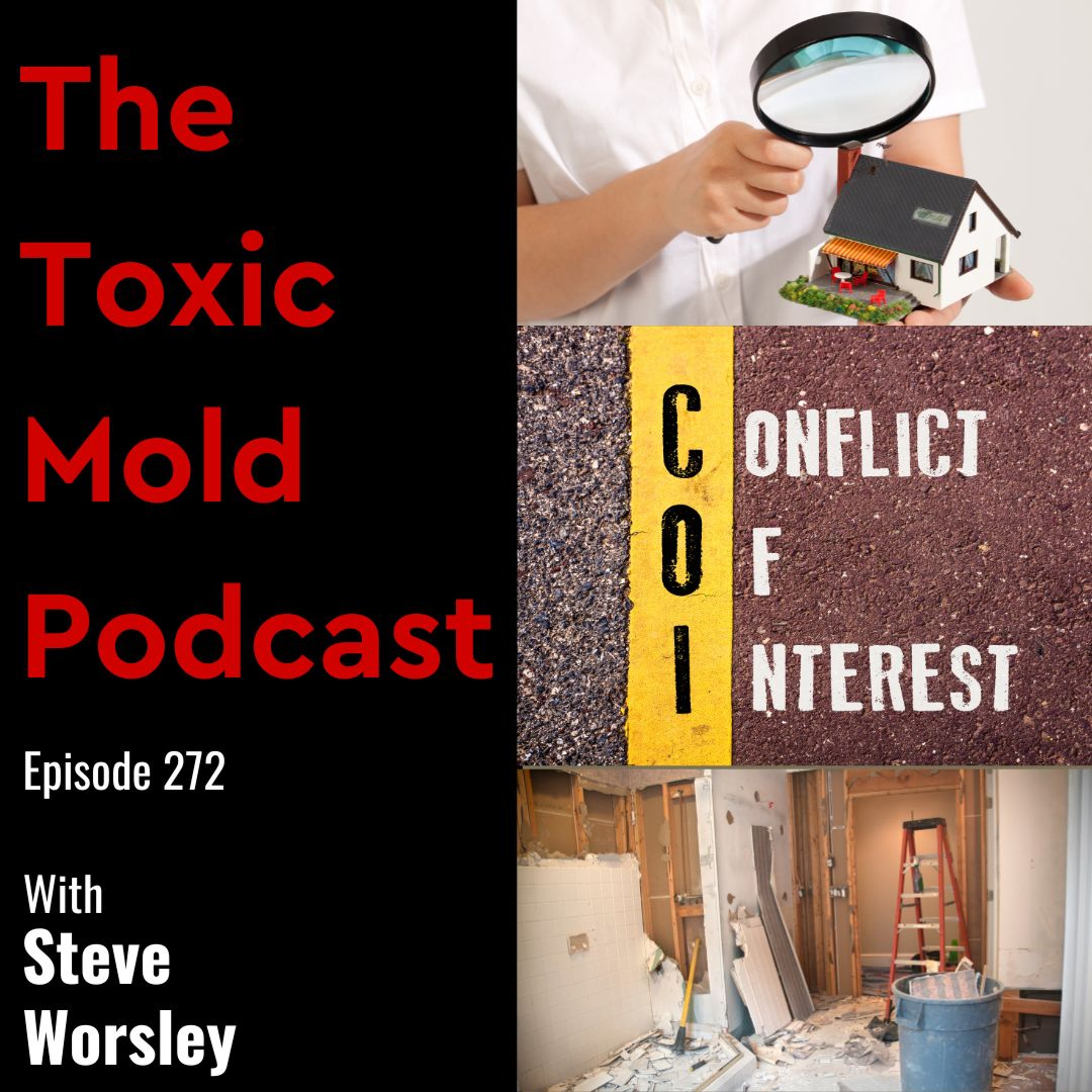 The Toxic Mold Podcast