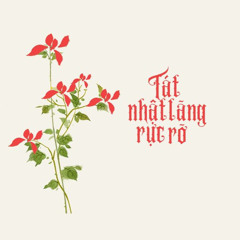 Tát Nhật Lãng Rực Rỡ_MrK Remix