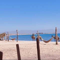 Running in Desert