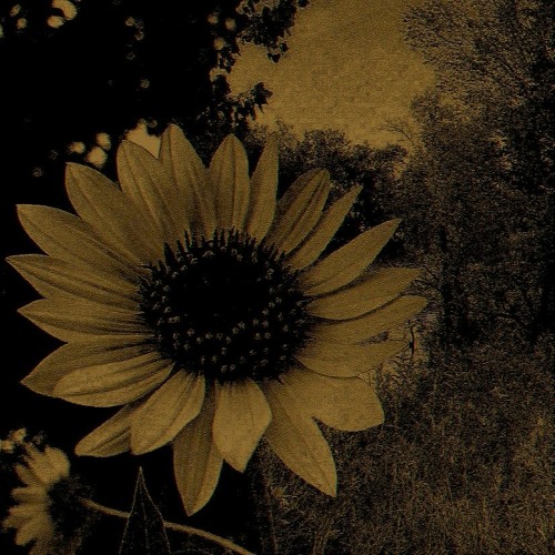 wondir - dead weight [slow and reverb]