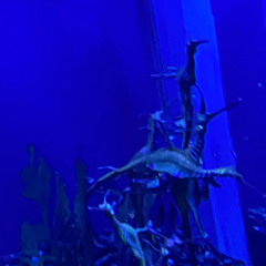 Porous (Some Version)