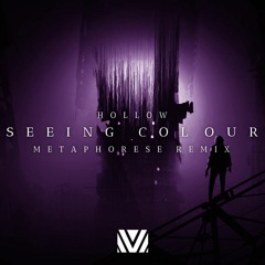 Hollow - Seeing Colour (Metaphorese Remix)