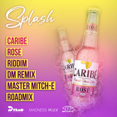 Patrice Roberts & Nessa Preppy - Splash (DM Remix) (Master Mitch-E Roadmix)