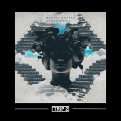 Another World - MEDUZA, HAYLA (TRIP 2 REMIX)
