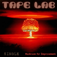 Mushroom for Improvement (Single)