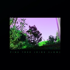 Pine Tree (Ride Slow) feat. Jokabi