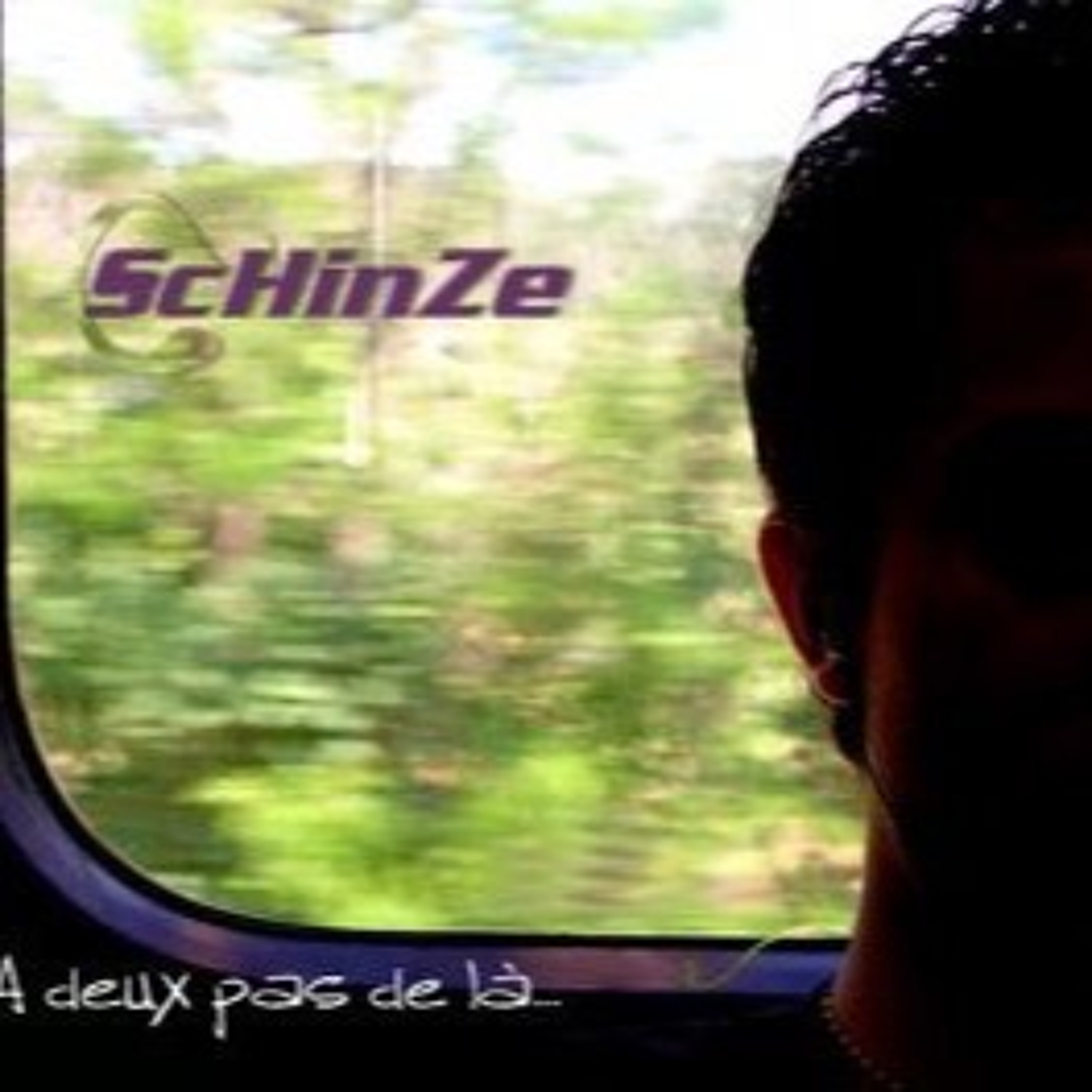 ScHinZe