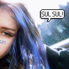 SUL SUL! (prod reesoo)