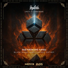 Vinylside feat. Dashing - Unity In Darkness (Black Sugar 2025 CONTEST ANTHEM)