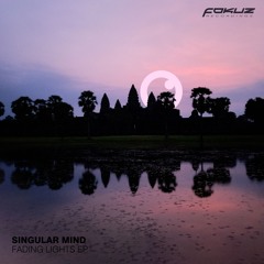 Singular Mind - Seeking Shadows
