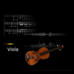 Xsample Viola