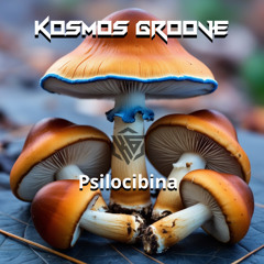 Psilocibina