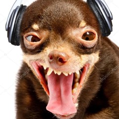 01 REC - 2024 - 09 - 14  (2) mix