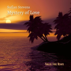 Sufjan Stevens - Mystery Of Love (Niklas Thal Remix)