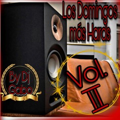 Los Domingos Más Hards Vol. 2 By Dj Gabo ( FREE DOWNLOAD)