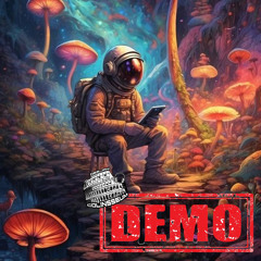 makina production demo 23 3 25