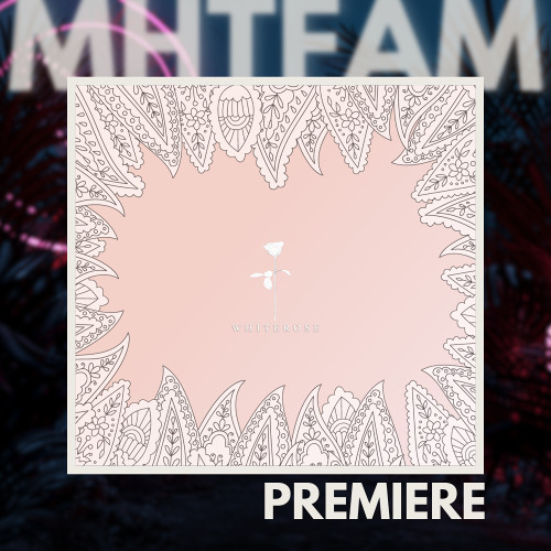 PREMIERE: Pisetzky -  Love (Original Mix) [White Rose]
