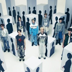 SOCIAL PATH - Stray kids(ft. LISA) Japanese vr.