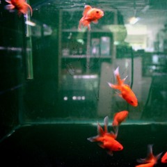 missing home - nineishuman (slowed)