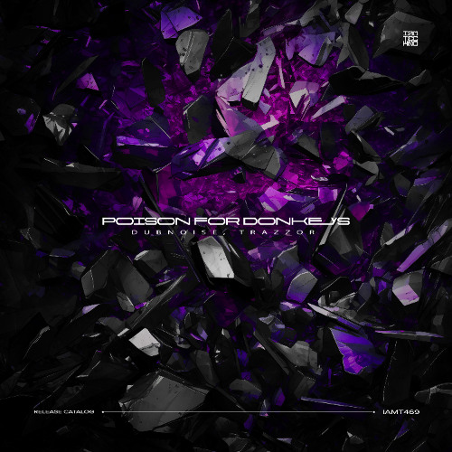 Dubnoise, Trazzor - Poison For Donkeys (Lander B Remix)