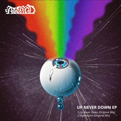Up Never Down (Original Mix)
