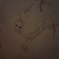 primavera silenciosa