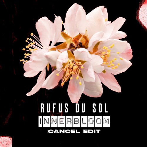 Rüfüs Du Sol - Innerbloom (Cancel Edit) FREE DOWNLOAD
