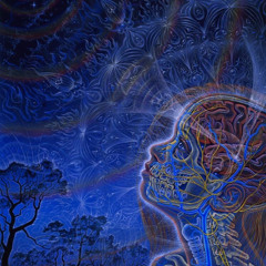 Jungle Whispers