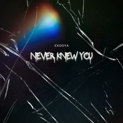 Exodya - Never Knew You (Radio Edit)