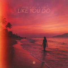 SoLow, feva. & MVNA - Like You Do