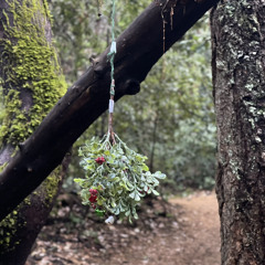 The last day of the year