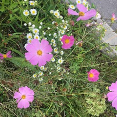 Don't Forget About Me (Arthur Russell Cover)