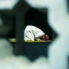 وَمَا يَسْتَوِي الْأَعْمَىٰ وَالْبَصِيرُ | عبد الرحمن مهدي
