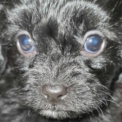 Kyoto Uno (prod. DURBENTIA)