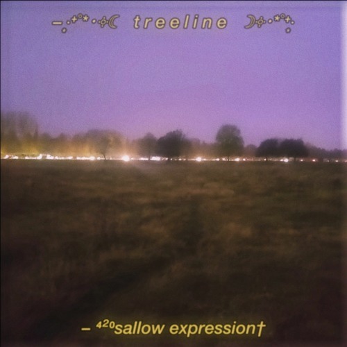 ‧͙⁺˚*･༓☾ treeline ☽༓･*˚⁺‧͙ (prod. cha cha)
