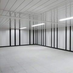 a position of counting 4'33"